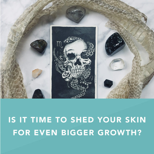 Is it Time to Shed Your Skin for Even Bigger Growth?